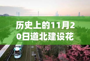历史上的11月20日,道北建设花园项目最新进展深度解析与消息汇总